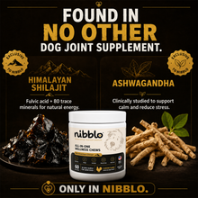 All-In-One Wellness Chews with Himalayan Shilajit