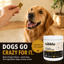 All-In-One Wellness Chews with Himalayan Shilajit