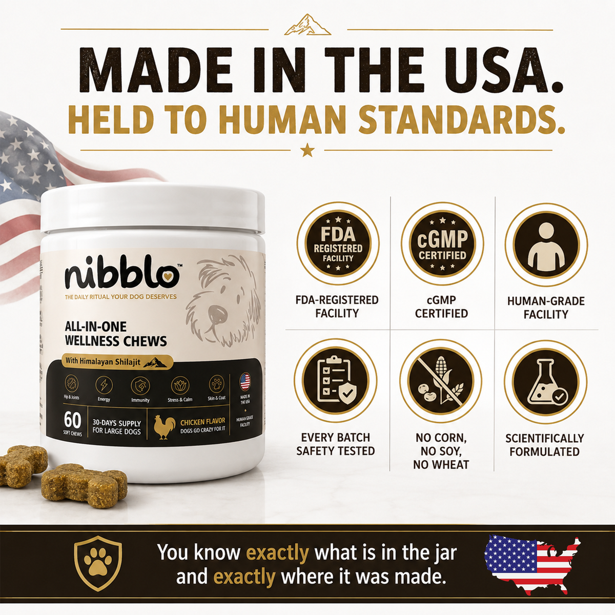 All-In-One Wellness Chews with Himalayan Shilajit