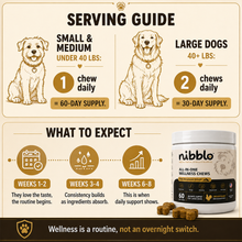 All-In-One Wellness Chews with Himalayan Shilajit